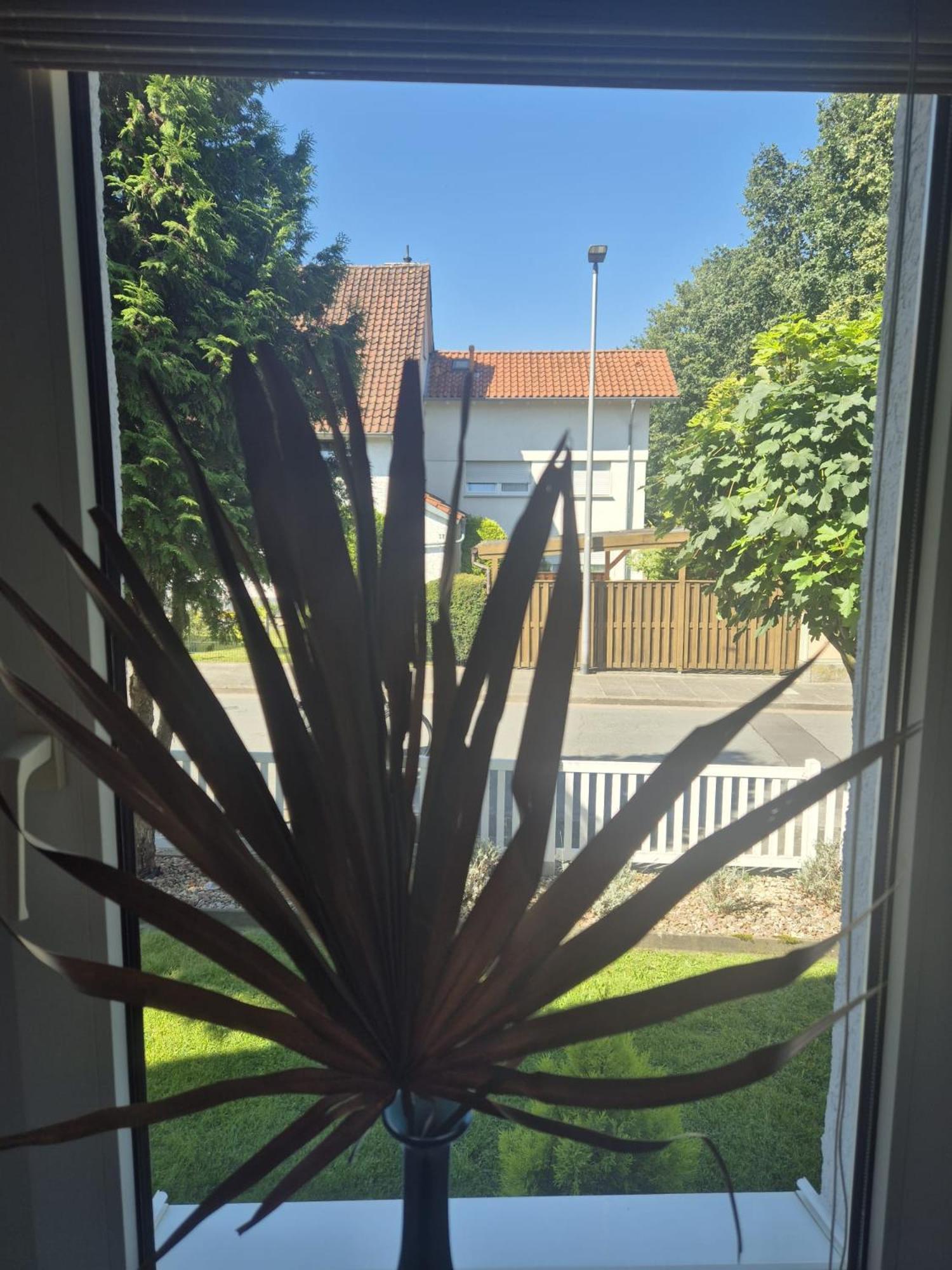 Ferienwohnung Detmolder Perle Exterior foto